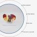 Liver Damage ical Model Liver Pathology Models Teaching Aids - 22.5 * 17 * 16CM - Buy Online on GoSupps.com