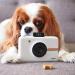 Polaroid Snap Instant Digital Camera with ZINK Zero Ink Printing - White Snow - Buy Online on GoSupps.com