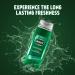 Brut Original Shower gel for Hair & Body | Body Wash for Men| Authentic Fragrance 500ml - Buy Online on GoSupps.com