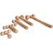 Shop Erzi 47098 Wooden Therapy Aids Ball Sticks for Deep Tissue Massage - International Shipping Available - Buy Online on GoSupps.com
