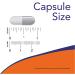 Now Supplements Phase 2 White Kidney Bean Extract 500mg - 120 Veg Capsules for Weight Management - Buy Online on GoSupps.com