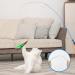 Shop Ukofew 12-Piece Cat Fishing Toys with Springs & Feathers Interactive Fun for Cats of All Sizes | International Shipping Available - Buy Online on GoSupps.com