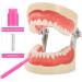 Interdental Brush 100 Pcs - Premium Tooth Flossing Heads & Dental Picks for Effective Oral Care | International Shipping - Buy Online on GoSupps.com