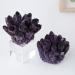 Natural Magic Natural Crystal Stone Purple Phantom Quartz Crystal Cluster Rock Stones Reiki Specimen Home Deco (Color : Purple Cluster Size : 300-400g) 300-400g Purple Cluster - Buy Online on GoSupps.com