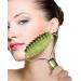 Face Roller | Multifuncational Jade Roller for Neck - Smooth Sturdy and No Squeaky Face Massager Tool for Reducuing Morning Puffiness and Getting The Skin Refreshed Fovolat - Buy Online on GoSupps.com
