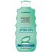 Garnier Ambre Solaire After Sun Lotion for Face & Body with Naturally Derived Aloe Vera Intensely Rehydrates Skin Instant Cooling Effect Approved by Cruelty Free International 400 ml Aloe Vera 400 ml (Pack of 1)