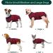 Kuoser Dog Recovery Body - Breathable After Surgery Suit for Male Dogs | Leakage Protection & Anti-Licking | Red Striped XL (1 Pack) - Buy Online on GoSupps.com