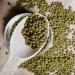 TRS Mung Beans 1kg - Premium Quality Pulses for Healthy Cooking - Buy Online on GoSupps.com