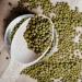 Buy TRS Mung Beans 1 kg (Pack of 2) - Premium Quality International Shipping - Buy Online on GoSupps.com