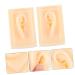 NOLITOY Teaching Ear Model - 2 Pairs Auricular Point Clean Hearing-aid Display Props for Education & Training - Buy Online on GoSupps.com
