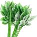 Yesok 50Pcs Floral Wire Stems with Leaves for DIY Craft Bouquet Making - Buy Online on GoSupps.com