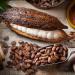 Fresh Cacao Exotic Fruit from St Lucia | Cacao Pod/Chocolate Fruit | 1kg - Buy Online on GoSupps.com
