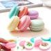 SECOWEL 12 Mini Cute Colorful Macaron Jars - Headphone Earrings SD Card & Cosmetic Storage Organizer - Buy Online on GoSupps.com
