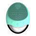 SMSOM Facial Cleansing Brush Wireless Charging IPX7 Waterproof Face Brush Use for Exfoliating Massaging and Deep Cleansing (Color : Green) Charcoal Green