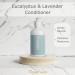 39 North Eucalyptus & Lavender Conditioner - Marriott & Residence Inn Approved - Natural Cleansing & Moisturizing - 8.5oz - Buy Online on GoSupps.com