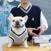 Dog Jumpers Dog Sweater Winter Dog Coats Dog Clothes Soft Warm Dogs Hoodies Dog Cat Knitted Pet Costume Jacket Vest Outfit for Cold Weather Apparel for Small Medium Large Dogs Puppy Indoor Outdoor (L) - Buy Online on GoSupps.com