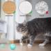 DONGKER Interactive Self-Rotating Cat Ball Toys for Exercise | USB Rechargeable Rolling Balls for Cats and Kittens (4.3cm) - Pink & Green - Buy Online on GoSupps.com