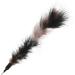 onebarleycorn Cat Toys Feather Refills for Cat Wand Toys Interactive include Replacement Feathers 1 Count (Pack of 1) - Buy Online on GoSupps.com