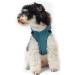 Petcute Blue Dog Rain Jacket - Waterproof Windproof & Reflective Adjustable Coat for Small Medium & Large Dogs (2XL) - Buy Online on GoSupps.com