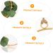 Alipis Wrought Iron Gate Hanging Wreath Decor Eucalyptus Hoop Wreath Valentine's Day Garland Household Green 20x20cm - Buy Online on GoSupps.com