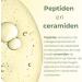 SKINTUALS VENTURES SL Facial cream with Peptide and Ceramide Complex Vitamin C E Hyaluronic Acid Niacinamide and Aloe Vera 50ml Deep Hydration Antioxidant and AntiWrinkle from Skintuals Cosmetics - Buy Online on GoSupps.com
