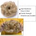 Curly Wavy Hair Bun Hair Extensions - Ash Blonde (40g) - Buy Online on GoSupps.com