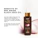 Wow Skin Science Onion Black Seed Hair Oil - 200ml | Nourish & Strengthen Hair - Buy Online on GoSupps.com