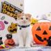 BoomBone Skull Cat Collar Breakaway with Bell - Pack of 2 - Safe Halloween Puppy Collars - Buy Online on GoSupps.com