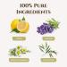 Ecodrop Allergy Essential Oil Blend - 10ml | Pure Therapeutic Grade Aromatherapy for Decongestion & Hay Fever Relief - Buy Online on GoSupps.com