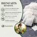 Tisane de Feuilles de S n 200 Sachets de Tisane Th de S n - Puissant Purgatif Laxatif Naturel - Favorise le Transit Intestinal et le Nettoyage du Colon - Tisane Detox - Tazarin Ltd - Buy Online on GoSupps.com