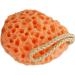 minkissy Body Wash Sponge Super Soft Bath Natural Fiber Shower Sponge Body Sponge for Kids Bath Sponges Infant Bath Sponge Dish Facial Exfoliator Sponge Loofah Sponge Face Miss Scrub - Buy Online on GoSupps.com