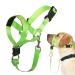 Barkeless halter against pulling made easy for dog training and walks soft dog handlebar dishes with expert training instructions-put an end to the pull on a leash (m green) m-for puppy green