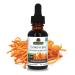 Nature's Answer Cordyceps Mushroom Extract Alcohol Free 1 fl oz (30 ml)