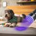 Yosoo Health Gear ET-A5386 UV Torch Ultraviolet Flashlight Portable Torch Lamp 21 LED Blacklight UV Flashlight Torch for Pet Urine Detector Find Stains on Clothes Carpet Rugs Floor - Buy Online on GoSupps.com