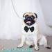 Hacraho Tux Dog Fly White Soft Cotton Formal Dog Collar & Adjustable Tie for Small Dogs & Cats | Perfect for Weddings Birthdays & Parties - Buy Online on GoSupps.com