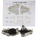 Cats Teeth Model Canine Cats Jaw Dentals Model Veterinary Office Educational Tool Pet Cats Teeth Anatomical Model - Buy Online on GoSupps.com