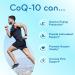 Extra Strength CoQ10 800mg - Quick Absorption Coenzyme Q10 800mg Potent Antioxidant for Heart Energy and Aging Support - High Stability CoQ10 Ubiquinone Caps - Made in a cGMP US Lab (100 Servings) - Buy Online on GoSupps.com