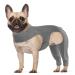 Hjyokuso Dogebody after op dogbody after op with leg wound protection suits for dogs dogs hind leg protection anti-wound licking op body dogs e-collar alternative for dogs dogs protection bodysuit s gray