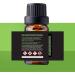 MOZZIE SHIELD Mosquito Repellent Diffusor Refill - 10ml Economical Protection Formula to Prevent Bites | Eco-Friendly & Reusable - Buy Online on GoSupps.com