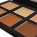 SHANY Layer 2 Contour & Highlight Palette Refill - for 4-Layer Makeup Kit - Buy Online on GoSupps.com