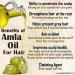 Pure 100% Natural Amla Oil for Hair Growth | Prevents Premature Greying | Darkens Hair Naturally | Pump Spray - Buy Online on GoSupps.com