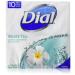 Dial Gentle Cleansing Glycerin Skin Care Bar Soap White Tea 10-4oz Soap Bars