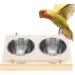 Buy Parrot Folding Cup & Gel Feed Dish - Stainless Steel with Stand | Ideal Bird Feeder for Water & Food - Buy Online on GoSupps.com