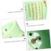 Moxibustion Scratch Cups - JECOMPRIS 2 Pack Ceramic Moxa Stick Holders for Massage - Green Moxa Burner Box 9.5x7.3cm - Buy Online on GoSupps.com