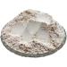 Theglobalstore Vidarikand White Powder Vidharikand Powder Bidharkand Safed Powder Puerariatuberosa Powder Indian Kudzu Powder 250 GMS
