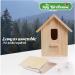 Spy Birdhouse - Bird Box Window Bird House and Bird Houses for Garden - Bird House Kits for Kids Craft Kid See Through Bird Nesting Box without Bird Box Camera - Wooden Small Bird House Craft Kit. - Buy Online on GoSupps.com