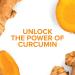 Natural Factors CurcuminRich Double Strength Theracurmin - 60 Vegetarian Capsules for Enhanced Health Benefits - Buy Online on GoSupps.com