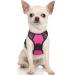 rabbitgoo dog harness Small dog anti -train dishes dog with control no pull adjustable dog dishes large dogs breathable reflex stripes breast harness dog safe guidance pink xs xs (1 Pack) pink
