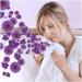Lenor Laundry Perfume Amethyst Flower Dream 140g | Long-Lasting Freshness for Your Laundry - Shop Internationally - Buy Online on GoSupps.com