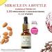 Kama Ayurveda Kumkumadi Night Serum 12ml | Beauty Ayurvedic Serum - Buy Online on GoSupps.com